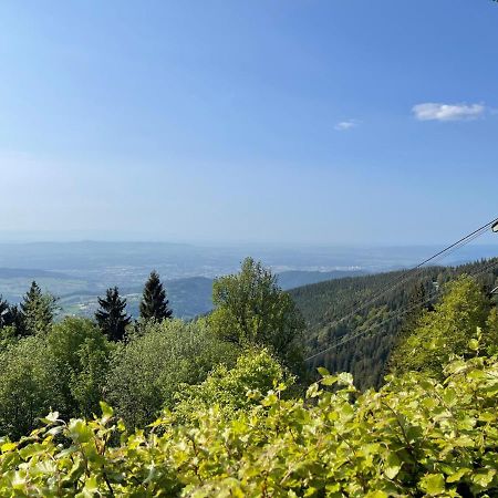 Neue Ferienwohnung Mit Whirlpool Und Sauna In Der Residenz Grafenmatt Inklusive Hochschwarzwaldcard Feldberg  Dış mekan fotoğraf
