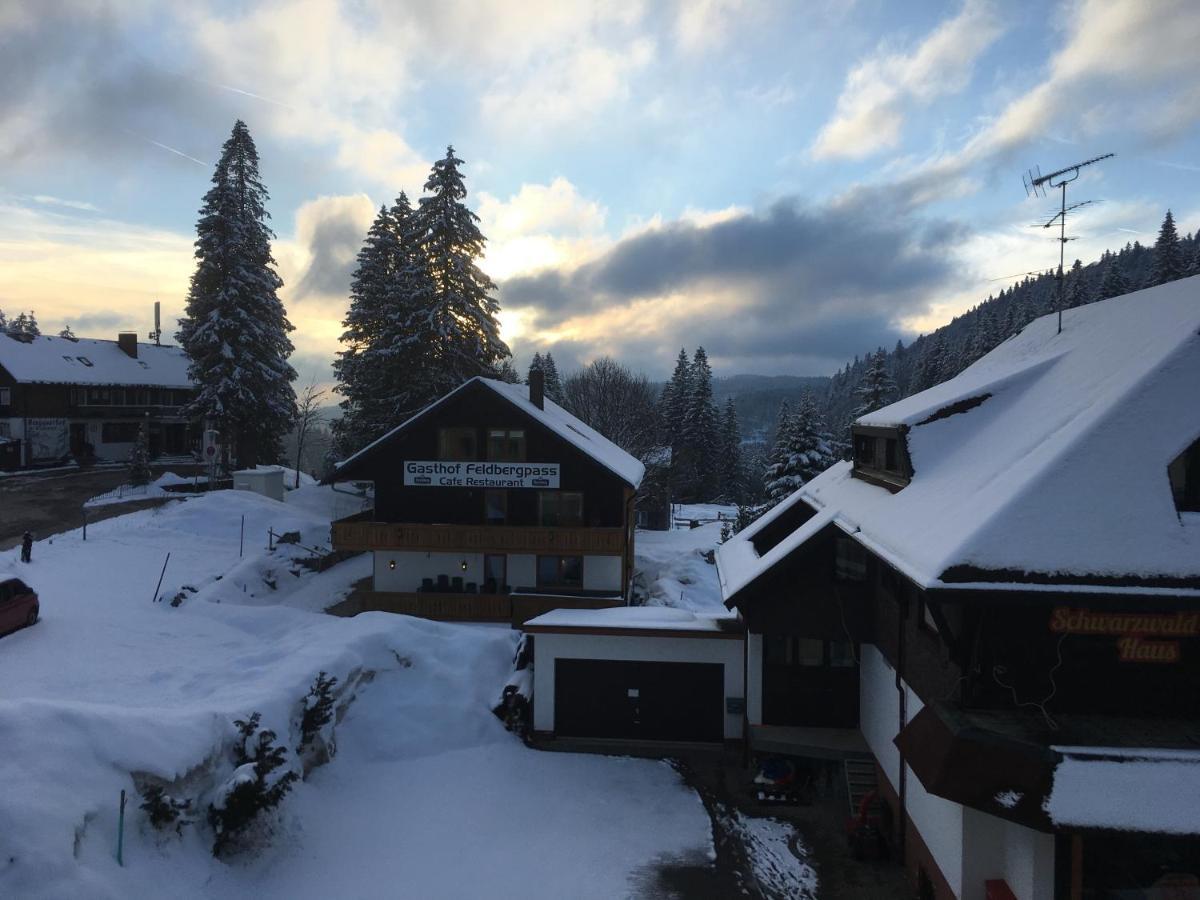 Neue Ferienwohnung Mit Whirlpool Und Sauna In Der Residenz Grafenmatt Inklusive Hochschwarzwaldcard Feldberg  Dış mekan fotoğraf