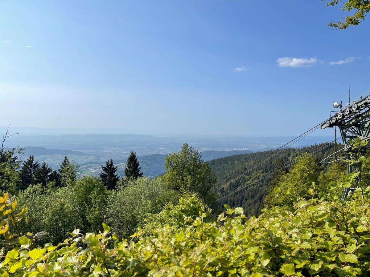 Neue Ferienwohnung Mit Whirlpool Und Sauna In Der Residenz Grafenmatt Inklusive Hochschwarzwaldcard Feldberg  Dış mekan fotoğraf