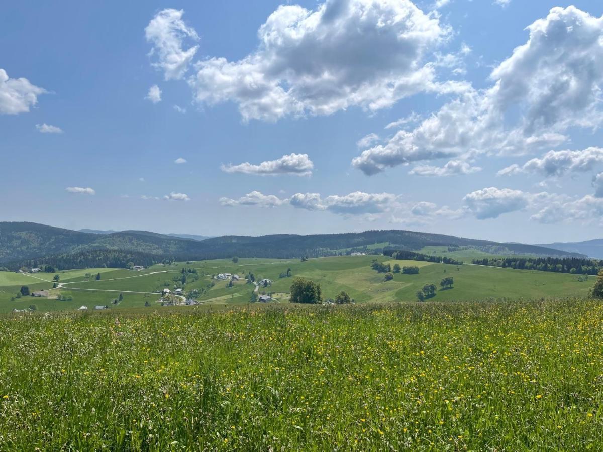 Neue Ferienwohnung Mit Whirlpool Und Sauna In Der Residenz Grafenmatt Inklusive Hochschwarzwaldcard Feldberg  Dış mekan fotoğraf