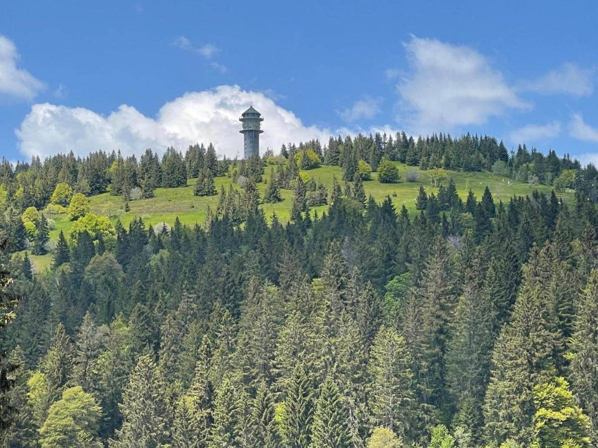 Neue Ferienwohnung Mit Whirlpool Und Sauna In Der Residenz Grafenmatt Inklusive Hochschwarzwaldcard Feldberg  Dış mekan fotoğraf
