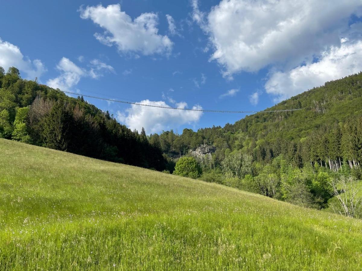 Neue Ferienwohnung Mit Whirlpool Und Sauna In Der Residenz Grafenmatt Inklusive Hochschwarzwaldcard Feldberg  Dış mekan fotoğraf